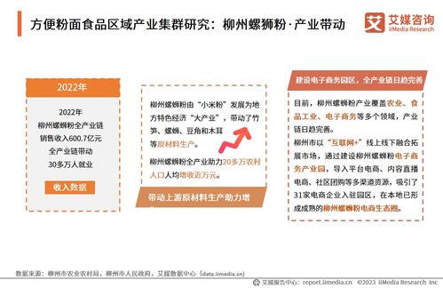 技術(shù)賦能與消費(fèi)驅(qū)動(dòng) 2024年中國方便粉面食品行業(yè)洞察與趨勢(shì)展望——基于中國食品科學(xué)技術(shù)學(xué)會(huì)與艾媒咨詢研究報(bào)告的交流探討